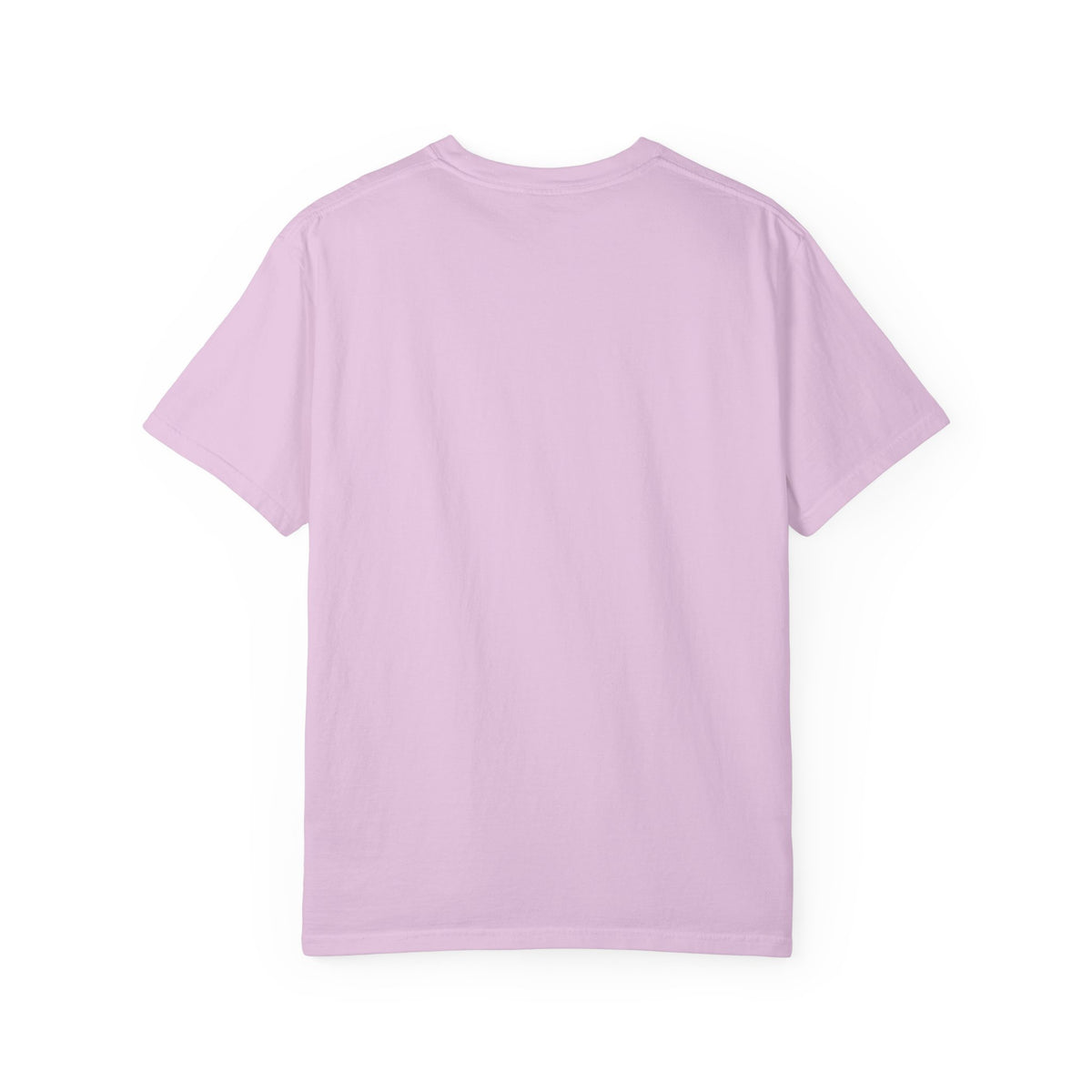 Oloi Shorua Travel Deeper Garment-Dyed T-Shirt