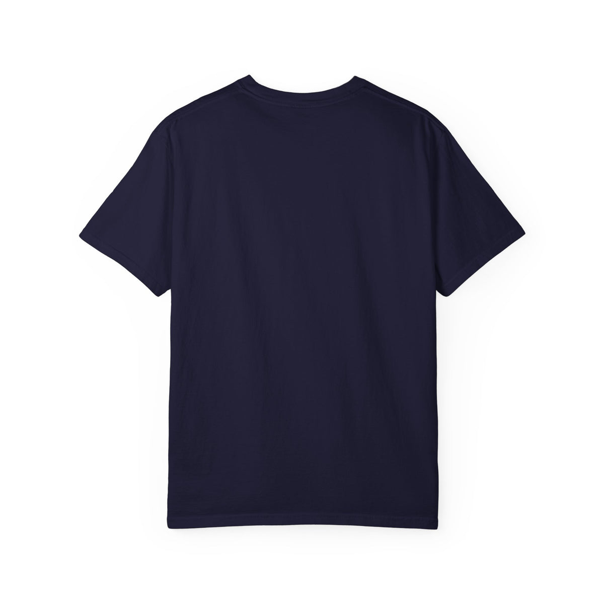 Oloi Shorua Travel Deeper Garment-Dyed T-Shirt