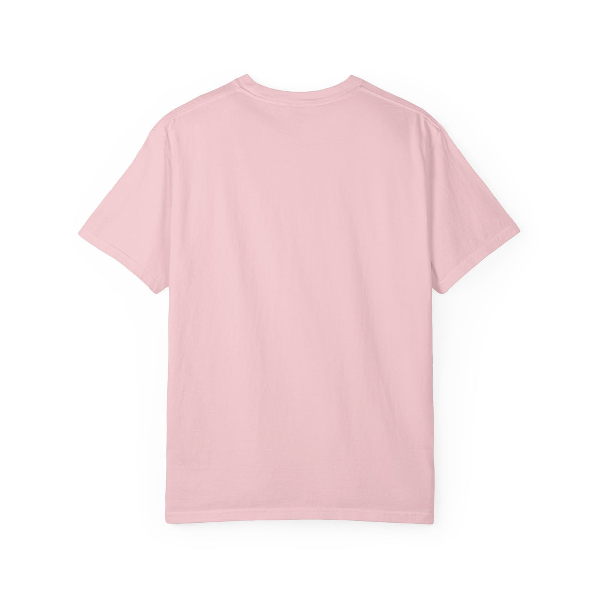 Oloi Shorua Travel Deeper Garment-Dyed T-Shirt