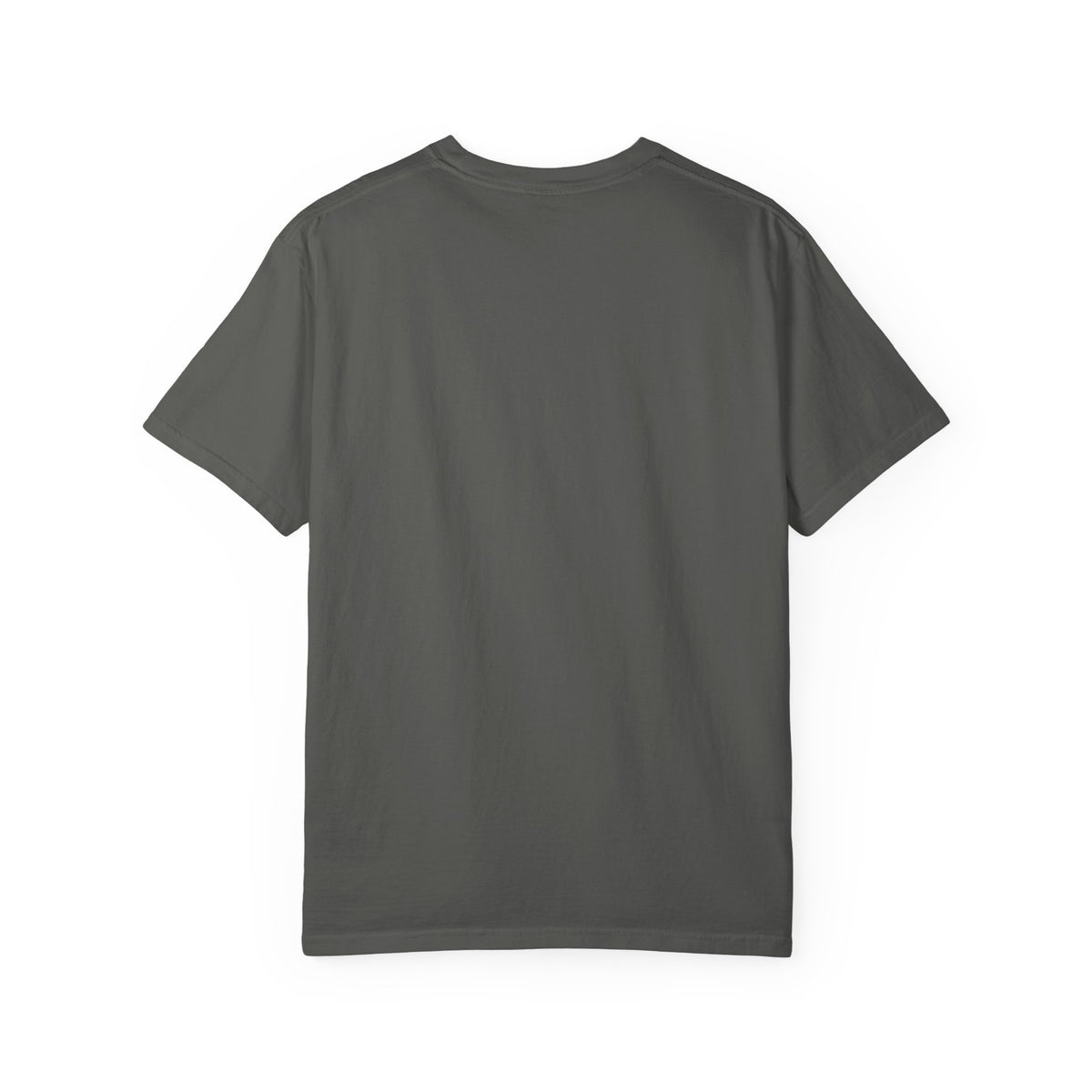 Oloi Shorua Travel Deeper Garment-Dyed T-Shirt
