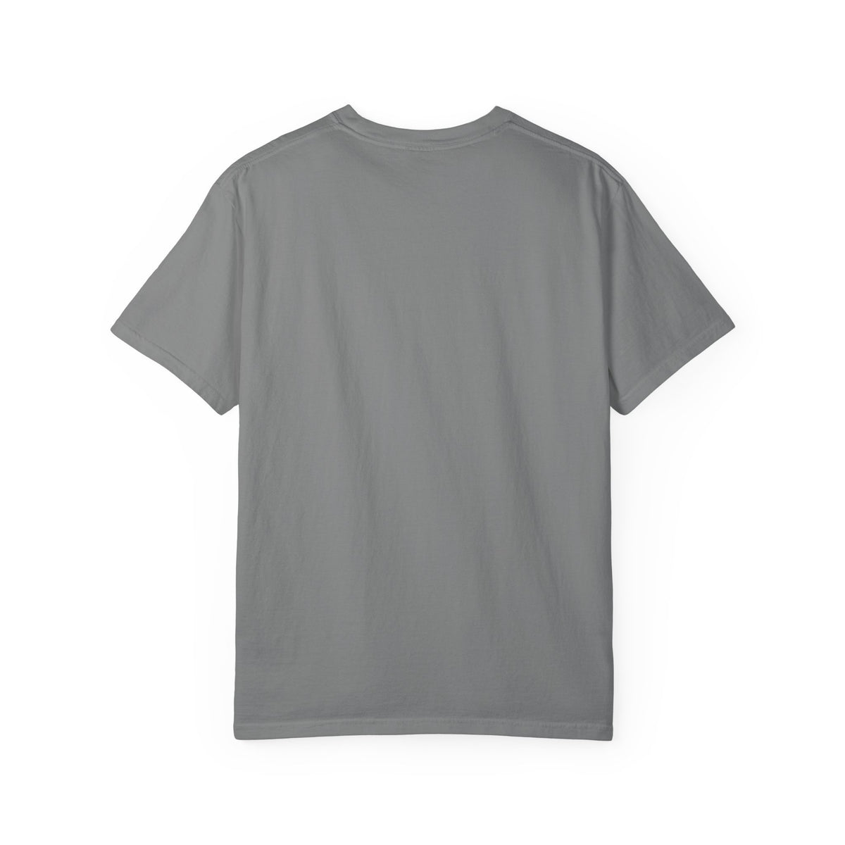 Oloi Shorua Travel Deeper Garment-Dyed T-Shirt