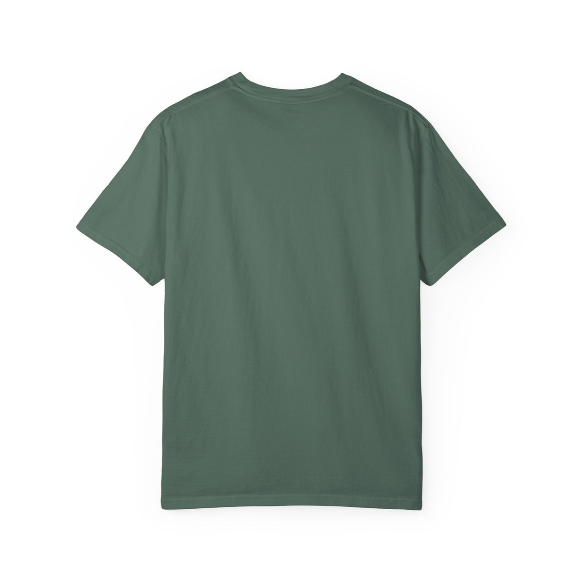 Oloi Shorua Travel Deeper Garment-Dyed T-Shirt
